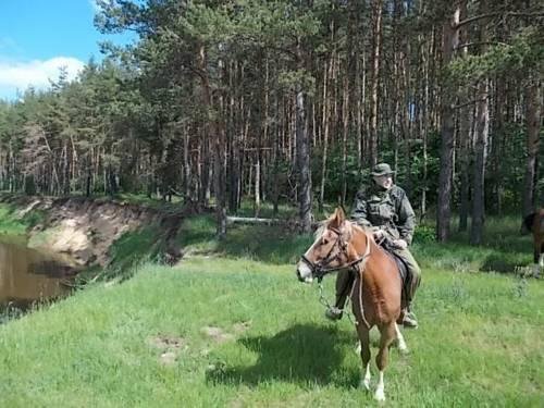 Гостиница Агрохутор Казачий Курень Желудьево