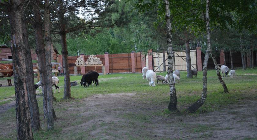 Гостиница Агрохутор Казачий Курень Желудьево
